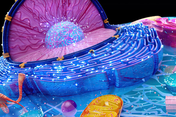 Fotó: Science Photo Library via AFP/Julien Tromeur A Földön élő összes állat, növény és gomba egy közös ősre vezethető vissza