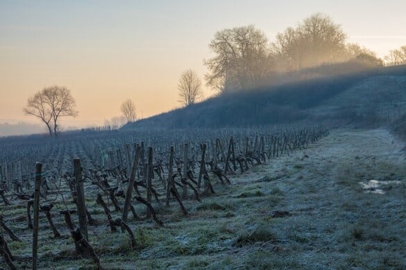 Fotó: AFP/Only France/Thierry Grun Hitelmoratóriummal segíti a kormány a gazdákat