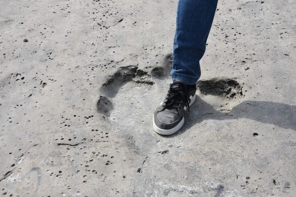 Fotó: AFP/Anadolu/Merdan Velhanov Több ezer dinoszaurusz lábnyomot találtak egy olasz hegyen