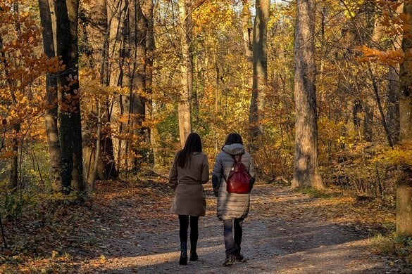 A barátság öt fajtája