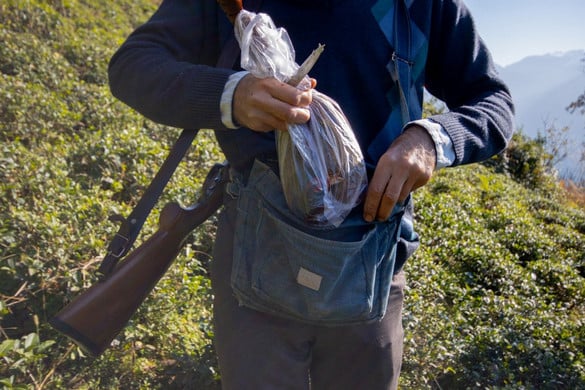 Fotó: AFP/Middle East Images/Arash Salkouyeh Orvvadászat miatt indult eljárás