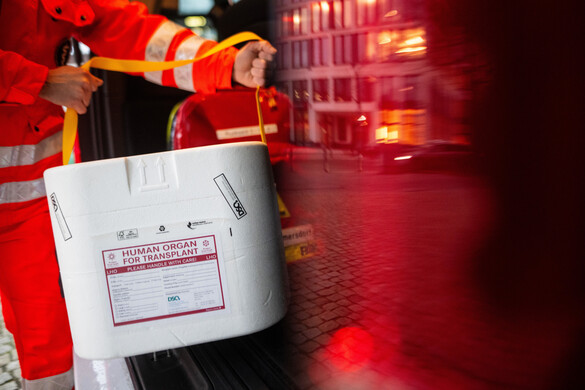 Az emberek körülbelül 90 százaléka személyiségváltozásról számol be szervátültetés után – miért?