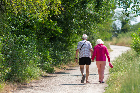 Mit jelent, ha valaki járás közben mindig a földet nézi?
