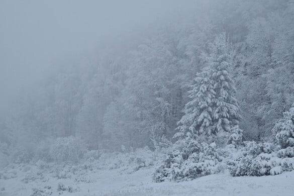 Veszélyben a Bükk egyik ritka természeti kincse