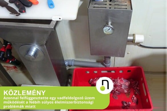 Több mint 3 tonna élelmiszert vontak ki a forgalomból a szakemberek