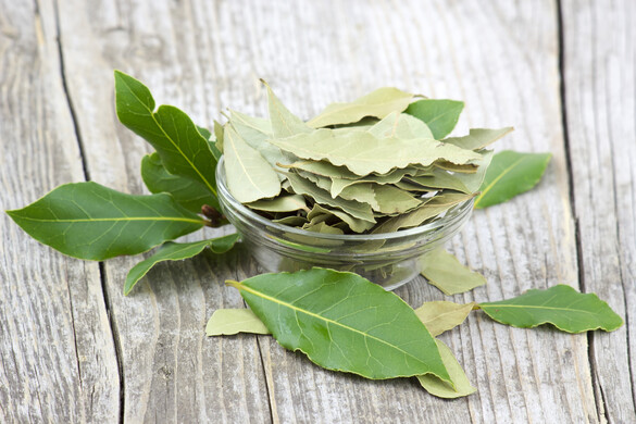 Ezért vigyen magával babérlevelet mindig a táskájában