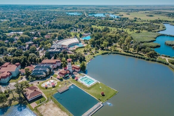 Gyopárhalma különös felemelkedése