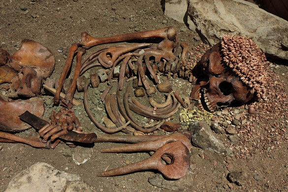 A „Herceg” néven ismert, szörnyű módon megcsonkított csontváz rejtélye