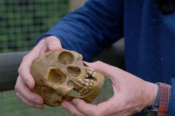 Végre megtudhatjuk, mi okozta a „hobbit” emberek kihalását