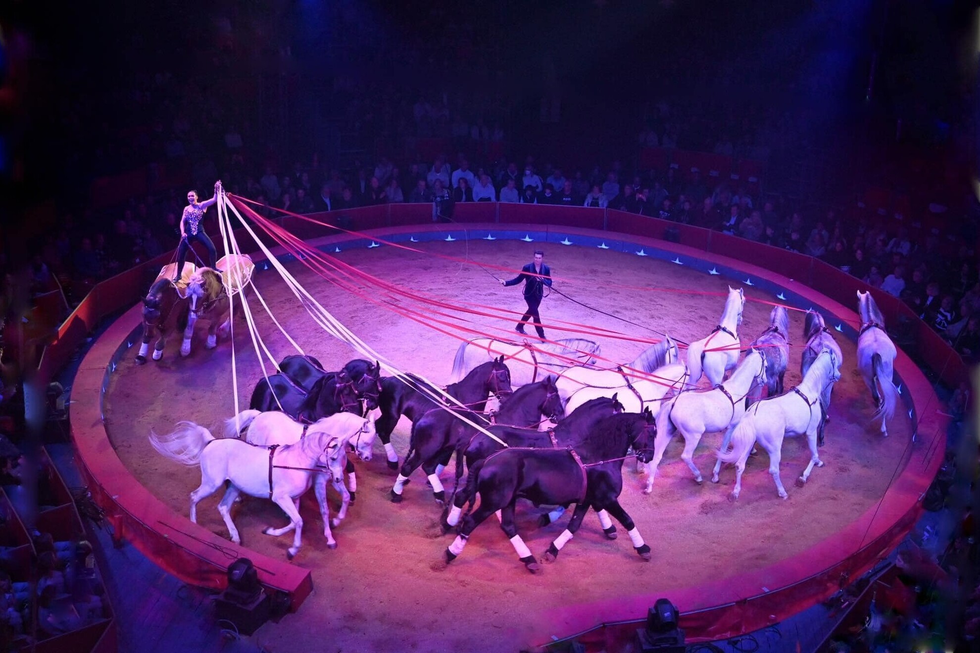 A Magyar Posta című produkció