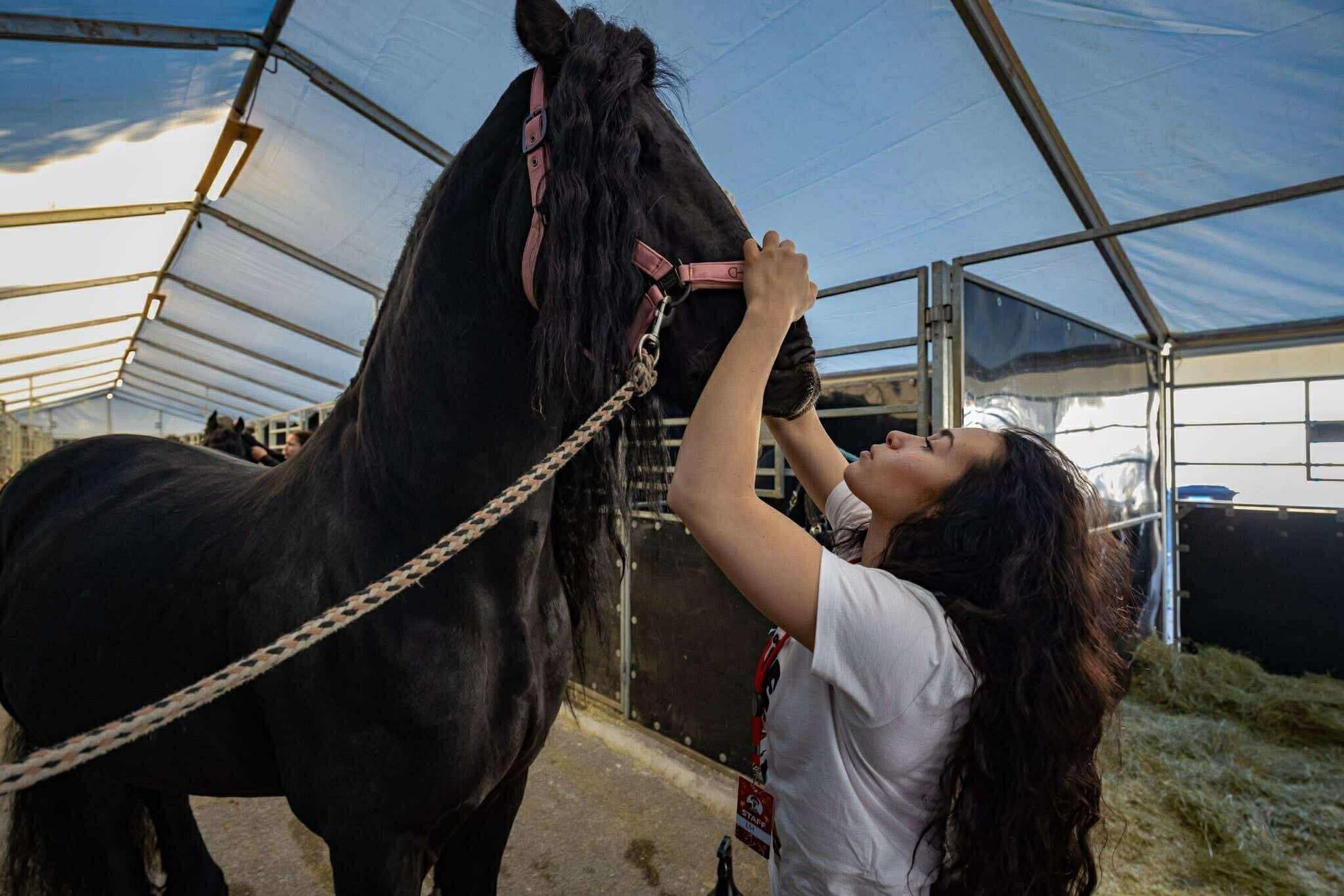 Richter Angelina és az egyik négylábú  munkatársa