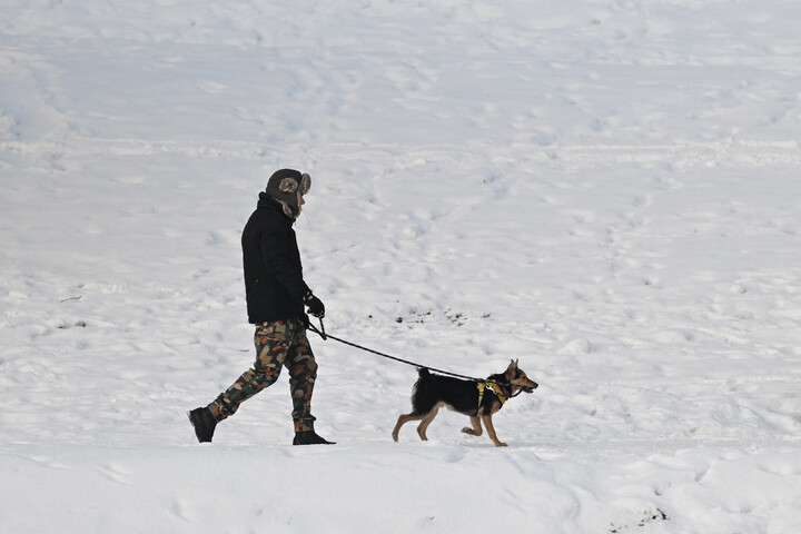 Meglepően egyszerű megoldás, hogy ne fagyjon be a kutya vize