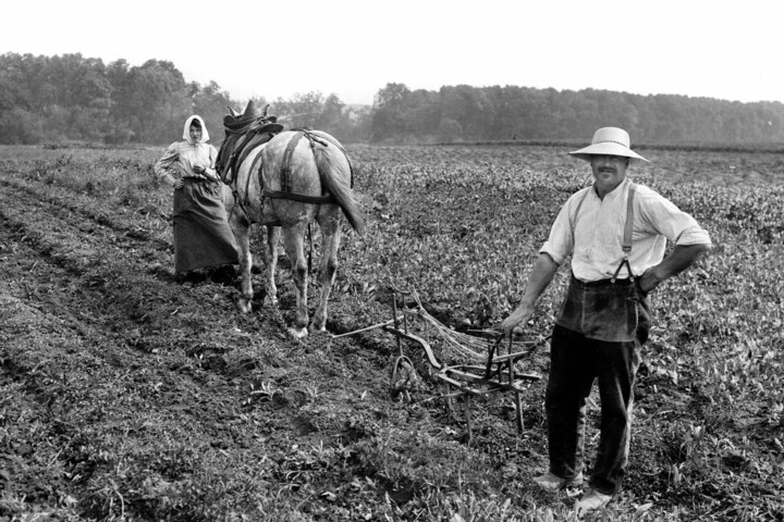 Miért nem voltak kövérek az őseink 100 évvel ezelőtt