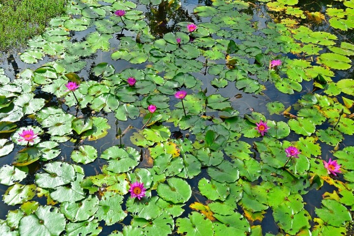 Aki erre a három kérdésre helyesen válaszol, az igazán okosnak számít