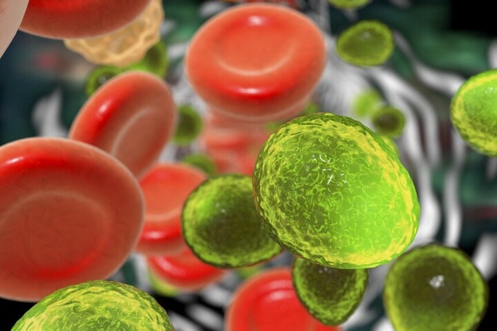 Halálosan fertőző vírus jelenthet globális egészségügyi fenyegetést