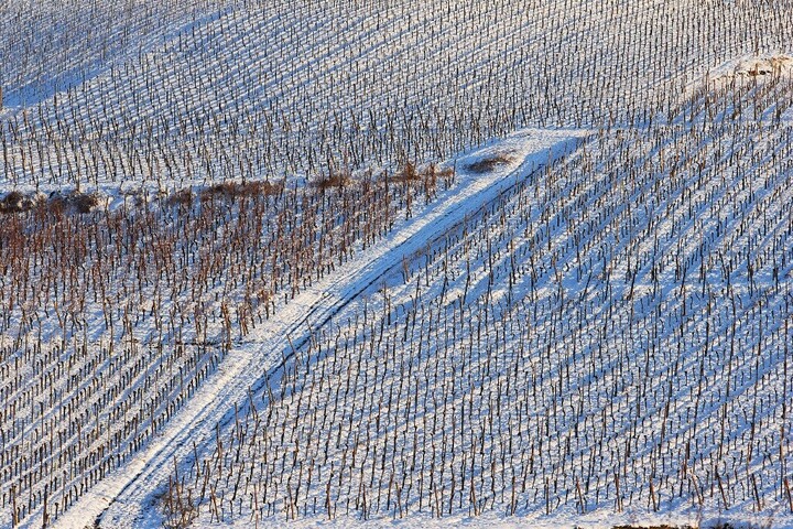 Mezőgazdasági szempontból kedvező a hó és a hideg