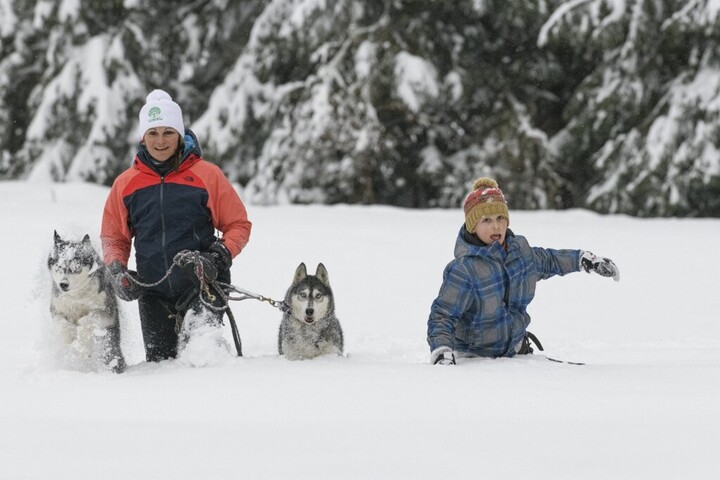 Megszólalt a belügy a rendkívüli tanítási szünetről