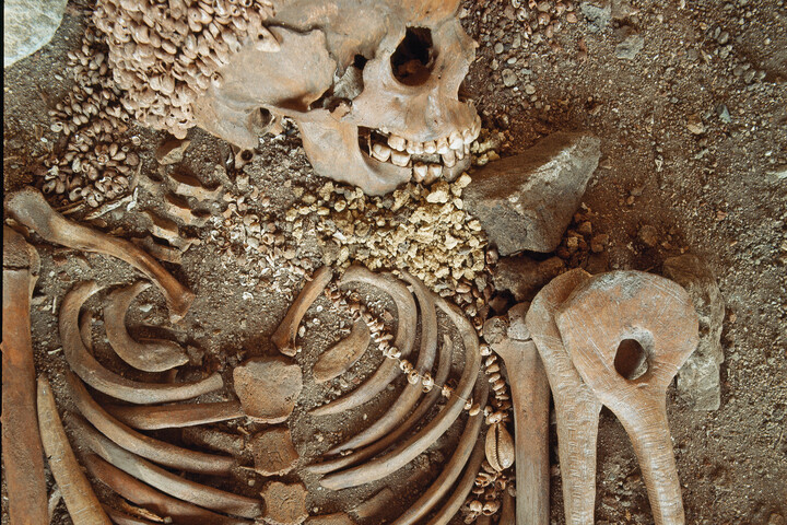 Fotó: Leemage Bridgeman Images via AFP/Luisa Ricciarini Egy 28 ezer éves „herceget” találtak