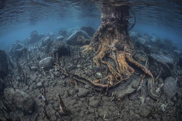 Nyugtalanító felfedezés az óceánok alján