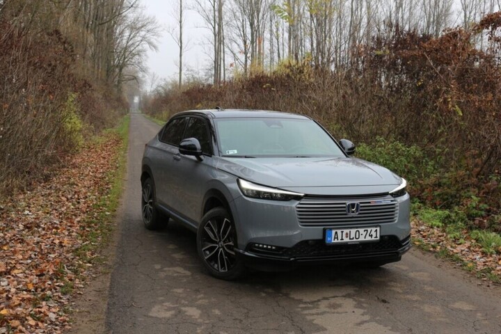 Jóképű, hibrid, crossover