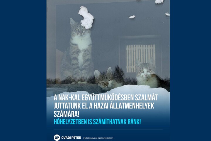 Szalmával segítenek a gazdák a hidegben