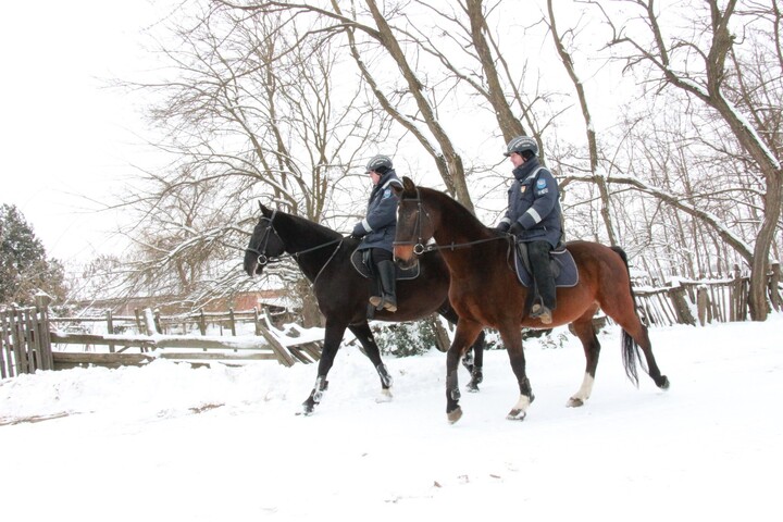 Autójával nekihajtott egy lovas rendőrnek