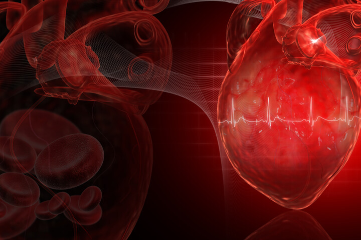 Hat élelmiszer már kis mennyiségben is biztosítja a szív egészségét