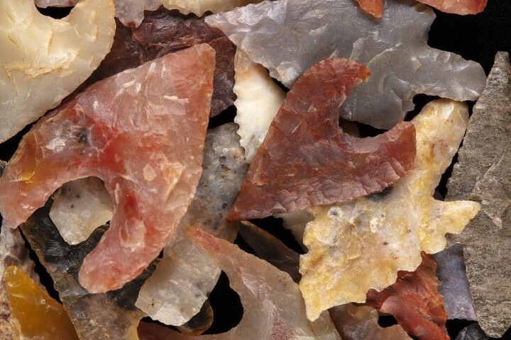 A vadászok már 60 ezer éve használtak mérgezett hegyű nyilakat