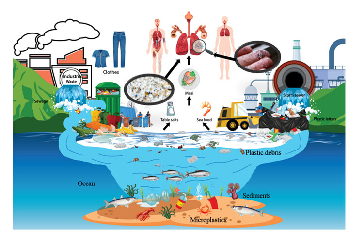 A mikroműanyag elérte az agyunkat? Ez ijesztőbb, mint hinnénk