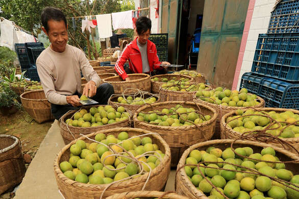 Ismeri ezt a szupergyümölcsöt?