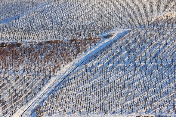 Mezőgazdasági szempontból kedvező a hó és a hideg