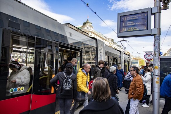 Aki beáll a tuja elé, sokat fog fizetni