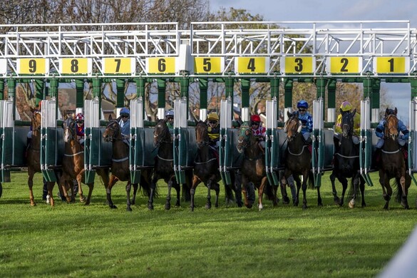 Kilőtték Magyarországról a Polymarket-et