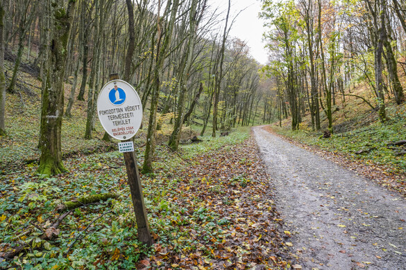Fejlesztések erősítik az Őrségi Nemzeti Park természetvédelmi őrszolgálatát