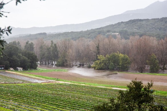 Hollandia nincs felkészülve a heves esőzésekre