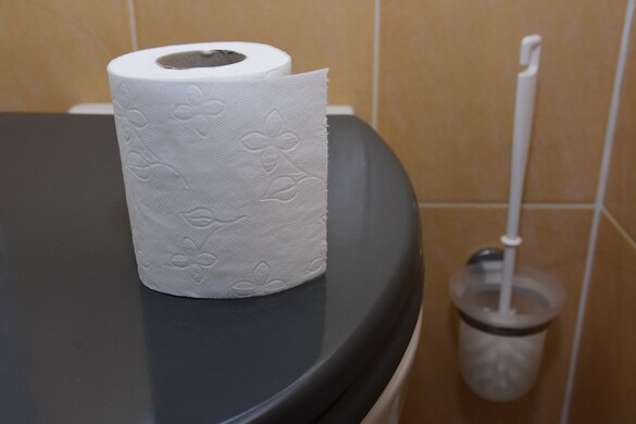 A fürdőszobai szokásainkat a génjeink irányíthatják