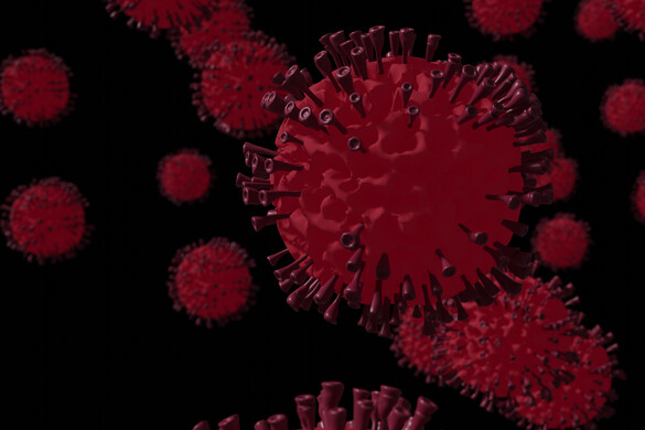 Új járvány söpör végig Olaszországon