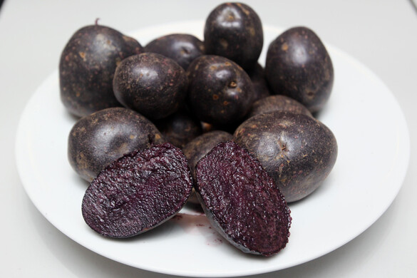 A lila krumpli hatása