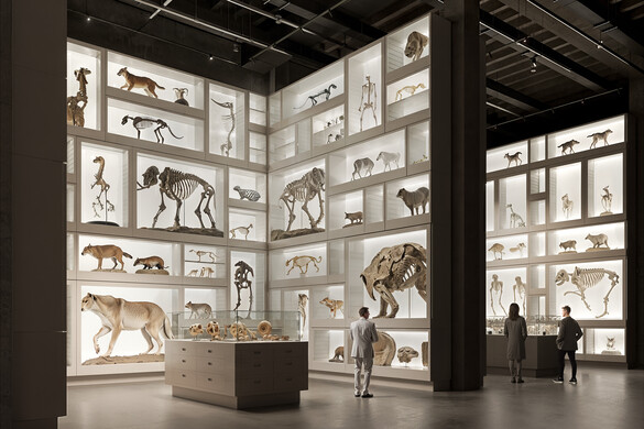 Kihirdették a Debrecenben épülő Magyar Természettudományi Múzeum tervpályázatának nyertesét