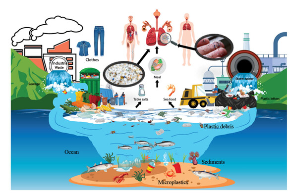 A mikroműanyag elérte az agyunkat? Ez ijesztőbb, mint hinnénk