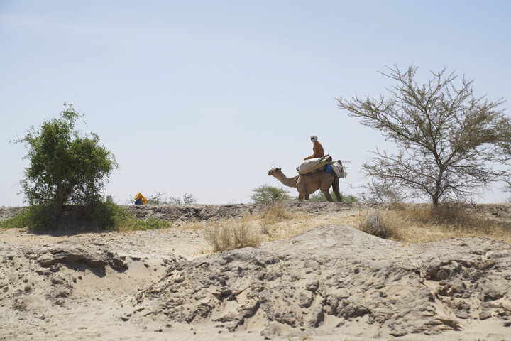 Holtan találtak rá az eltűnt idős férfira