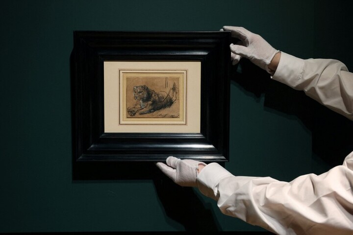 Egy oroszlán hozott pénzt a vadmacskáknak