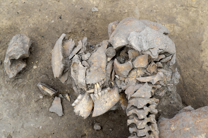 Fotó: AFP/Michel Christen Középkori „vámpír” arcát rekonstruálták horvát kutatók