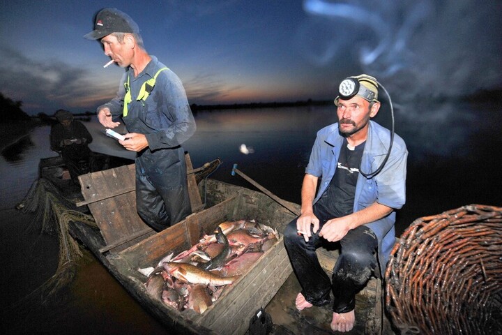 Több mint egy tonna halat fogtak - illegálisan