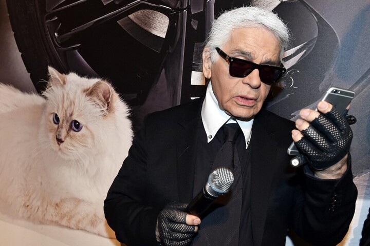 Fotó: AFP/dpa Picture-Alliance/dpa-Zentralbild/Jens Kalaene Bajban van a Lagerfeld macska