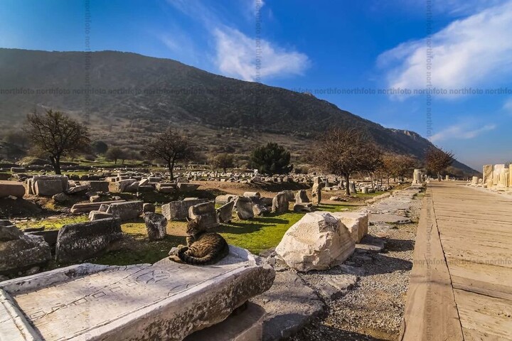 1500 év után a kutatók megfejtették egy római kori társasjáték szabályait