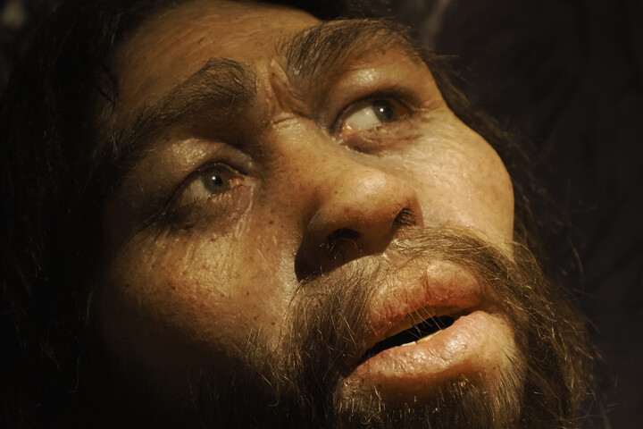 Az őskori nők odavoltak a neandervölgyi férfiakért