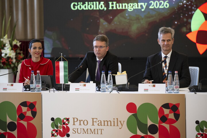 Magyar családpolitika mint globális minta?