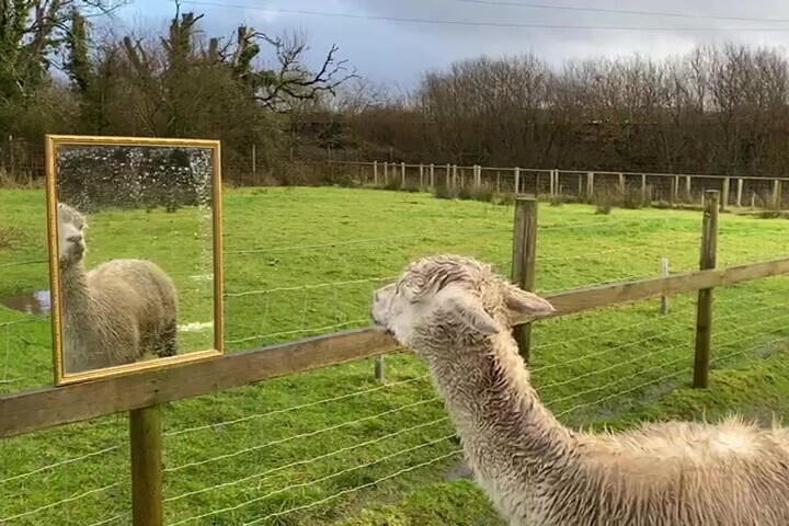 Hasznos ajándékot kapott Giovanni