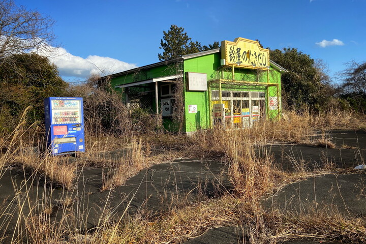 A radioaktív vaddisznó hibridek élik világukat Fukusimában a nukleáris katasztrófa után